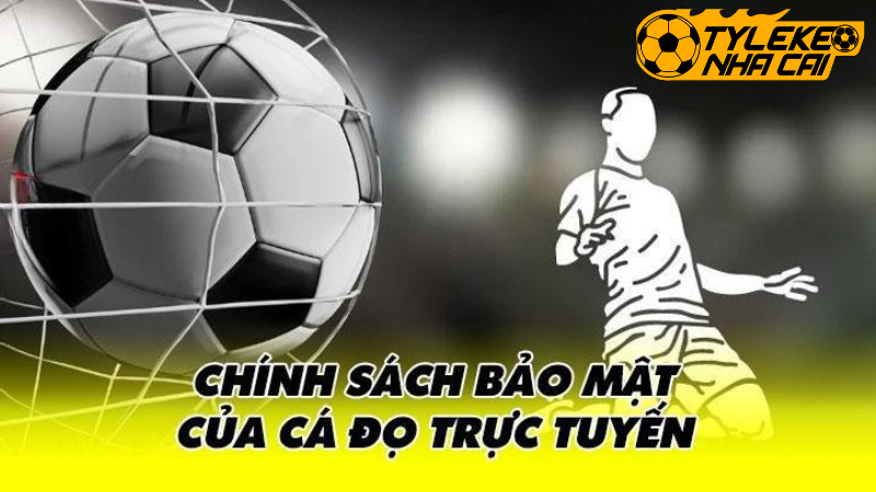 Thông tin liên hệ cá nhân khi cá độ trực tuyến 